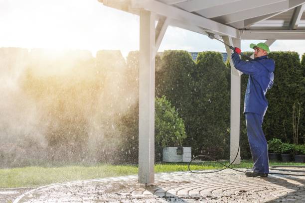 Professional Pressure Washing Services in Bridge City, LA